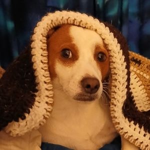 Meet your Posher, Debra